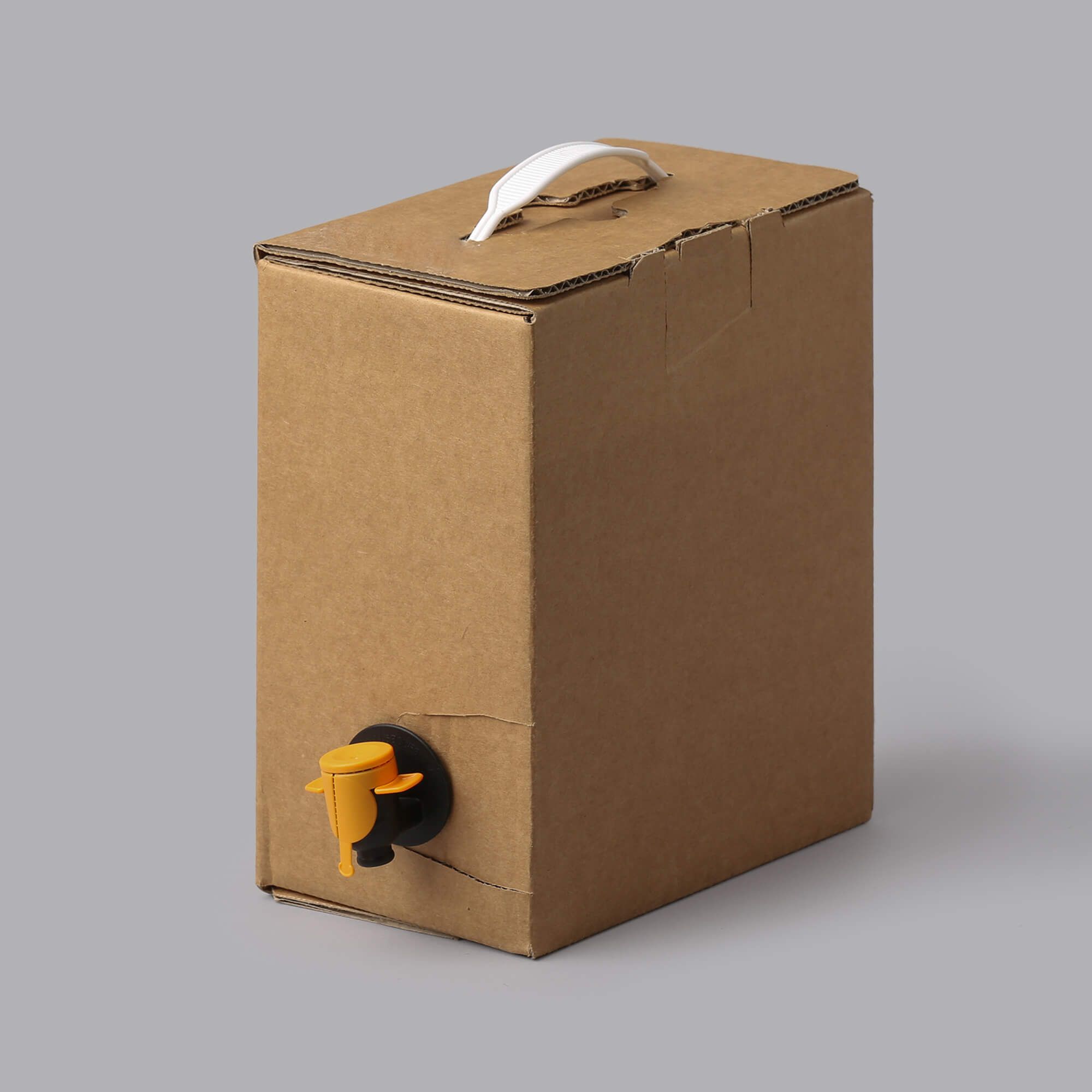 But The Stranger necessity Brown Bag in Box cardboard box for 3l bag 175x106x223mm