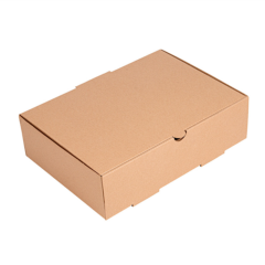 Karp kaanega „THEPACK“ mikro kartongist