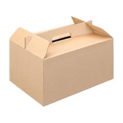 Karp "Take-Away M" nano-mikro kartong, 100tk