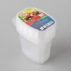 Spino transparent freezer boxes with lids 1000ml, PP, 5set/pack