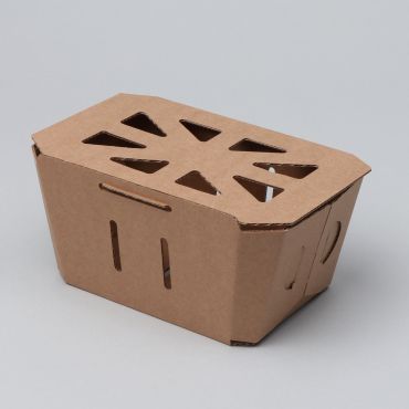 Cardboard berry container with cover 500g